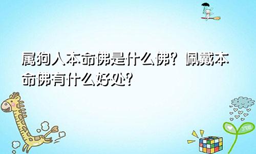 属狗人本命佛是什么佛？佩戴本命佛有什么好处？