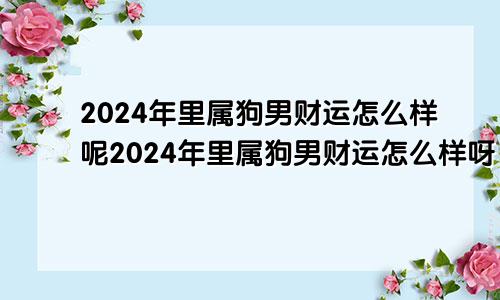 2024年里属狗男财运怎么样呢2024年里属狗男财运怎么样呀