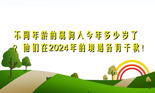 不同年龄的属狗人今年多少岁了？他们在2024年的境遇各有千秋！