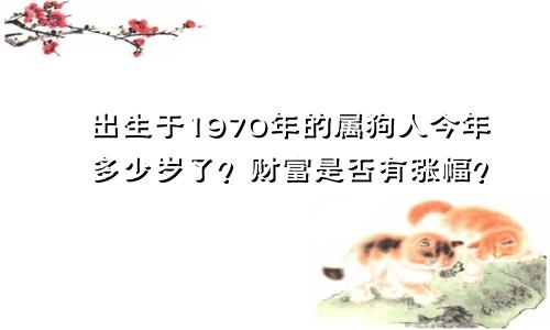 出生于1970年的属狗人今年多少岁了？财富是否有涨幅？