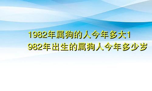 1982年属狗的人今年多大1982年出生的属狗人今年多少岁