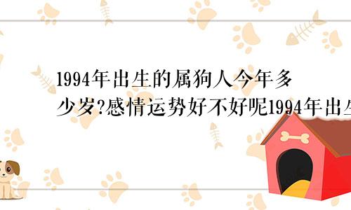 1994年出生的属狗人今年多少岁?感情运势好不好呢1994年出生的属狗人今年多少岁?感情运势好不好呀