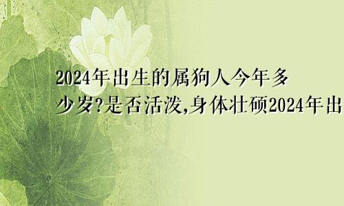 2024年出生的属狗人今年多少岁?是否活泼,身体壮硕2024年出生的属狗人今年多少岁?是否活泼,身体壮硕好