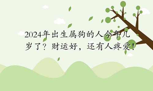 2024年出生属狗的人今年几岁了？财运好，还有人疼爱！