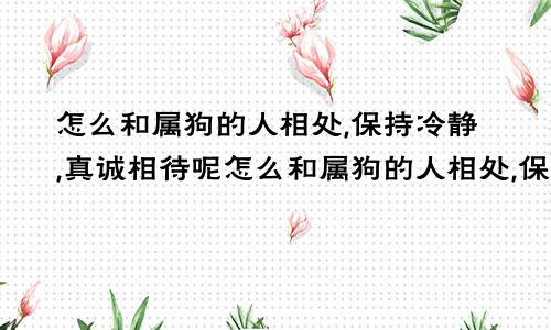 怎么和属狗的人相处,保持冷静,真诚相待呢怎么和属狗的人相处,保持冷静,真诚相待的句子