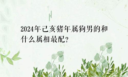 2024年己亥猪年属狗男的和什么属相最配？