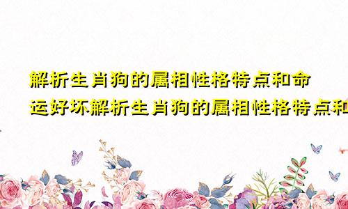 解析生肖狗的属相性格特点和命运好坏解析生肖狗的属相性格特点和命运好坏的关系
