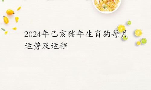2024年己亥猪年生肖狗每月运势及运程