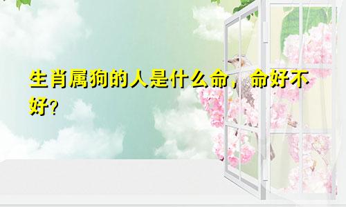 生肖属狗的人是什么命，命好不好？