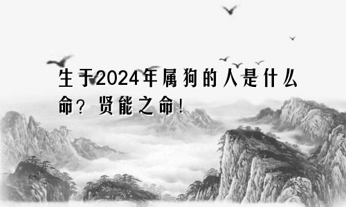 生于2024年属狗的人是什么命？贤能之命！