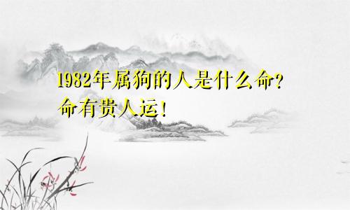 1982年属狗的人是什么命？命有贵人运！
