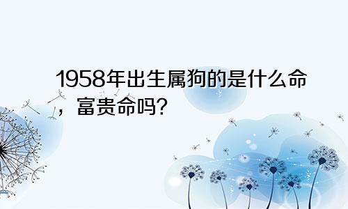 1958年出生属狗的是什么命，富贵命吗？