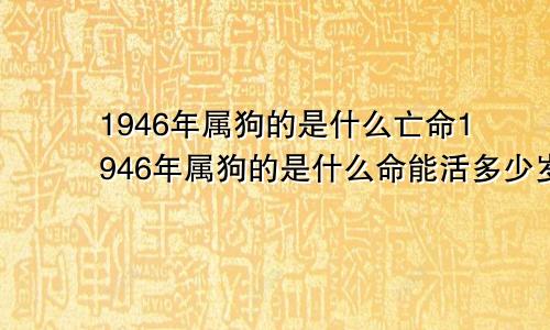 1946年属狗的是什么亡命1946年属狗的是什么命能活多少岁