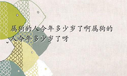 属狗的人今年多少岁了啊属狗的人今年多少岁了呀