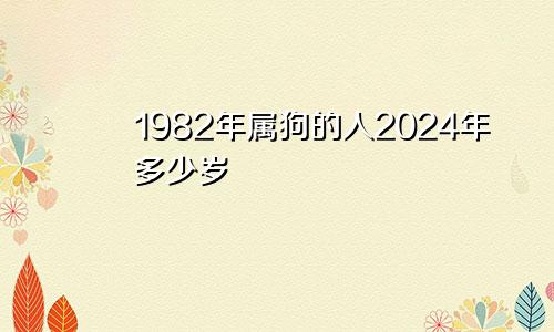 1982年属狗的人2024年多少岁