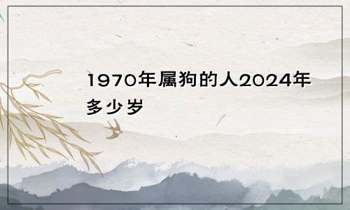 1970年属狗的人2024年多少岁