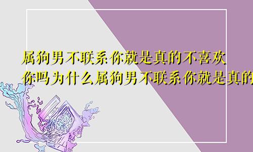 属狗男不联系你就是真的不喜欢你吗为什么属狗男不联系你就是真的不喜欢你吗知乎