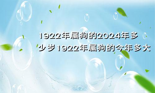1922年属狗的2024年多少岁1922年属狗的今年多大