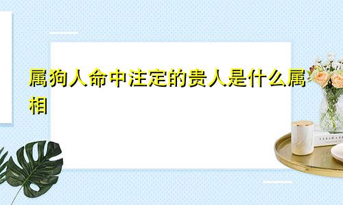 属狗人命中注定的贵人是什么属相