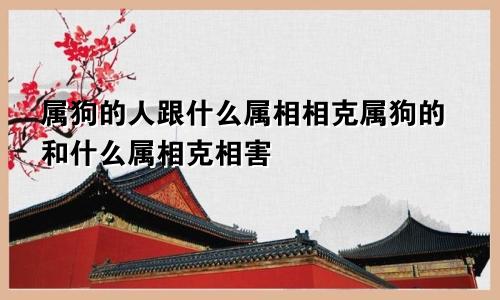 属狗的人跟什么属相相克属狗的和什么属相克相害