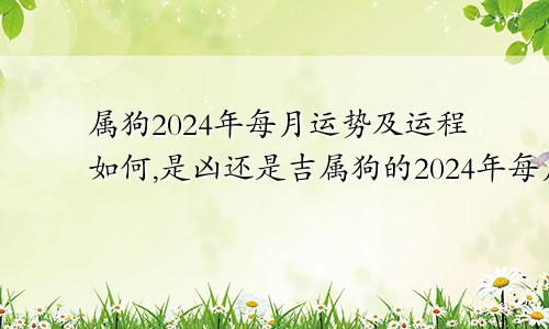 属狗2024年每月运势及运程如何,是凶还是吉属狗的2024年每月运势及运程