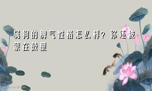 属狗的脾气性格怎么样？你还被蒙在鼓里