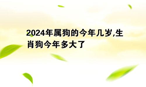 2024年属狗的今年几岁,生肖狗今年多大了