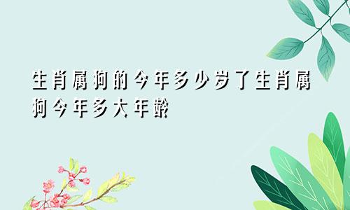 生肖属狗的今年多少岁了生肖属狗今年多大年龄