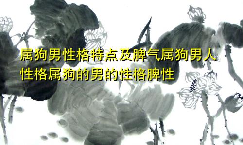 属狗男性格特点及脾气属狗男人性格属狗的男的性格脾性