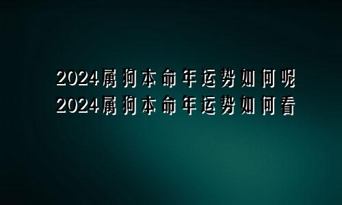 2024属狗本命年运势如何呢2024属狗本命年运势如何看