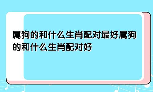 属狗的和什么生肖配对最好属狗的和什么生肖配对好