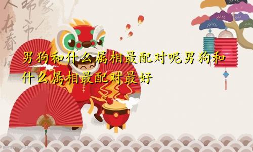 男狗和什么属相最配对呢男狗和什么属相最配对最好