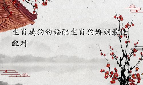 生肖属狗的婚配生肖狗婚姻最佳配对