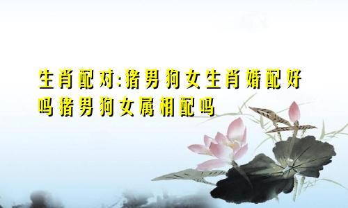 生肖配对:猪男狗女生肖婚配好吗猪男狗女属相配吗