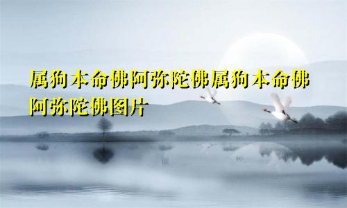 属狗本命佛阿弥陀佛属狗本命佛阿弥陀佛图片