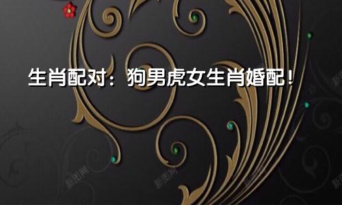 生肖配对：狗男虎女生肖婚配！