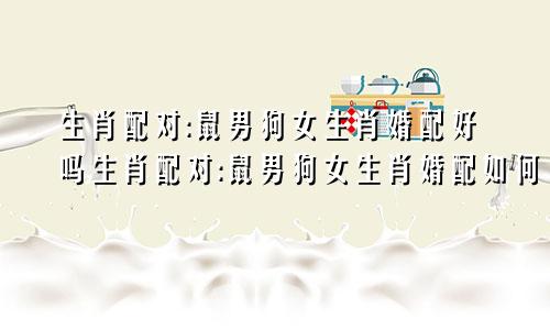 生肖配对:鼠男狗女生肖婚配好吗生肖配对:鼠男狗女生肖婚配如何