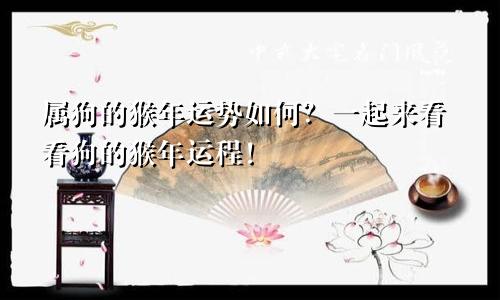 属狗的猴年运势如何？一起来看看狗的猴年运程！