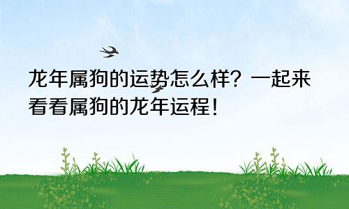 龙年属狗的运势怎么样？一起来看看属狗的龙年运程！