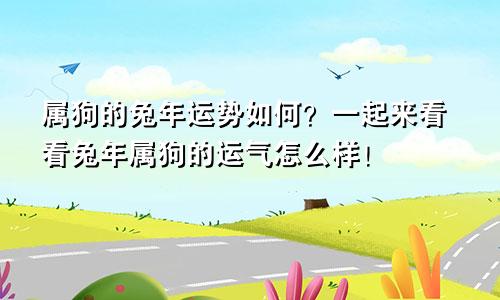 属狗的兔年运势如何？一起来看看兔年属狗的运气怎么样！