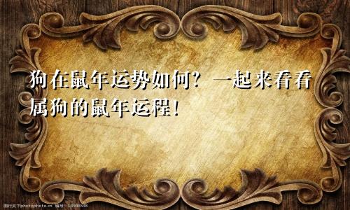 狗在鼠年运势如何？一起来看看属狗的鼠年运程！