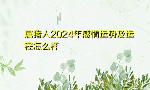 属猪人2024年感情运势及运程怎么样