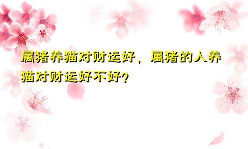 属猪养猫对财运好，属猪的人养猫对财运好不好？