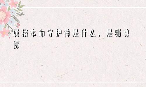 属猪本命守护神是什么，是哪尊佛