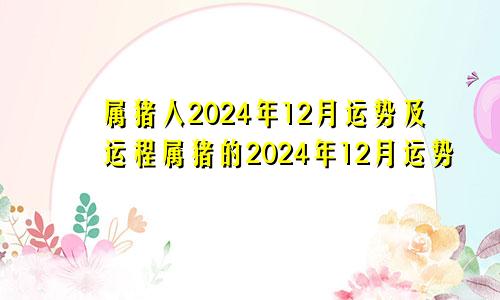 属猪人2024年12月运势及运程属猪的2024年12月运势