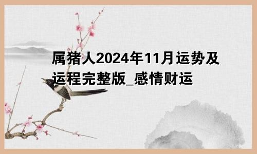 属猪人2024年11月运势及运程完整版_感情财运