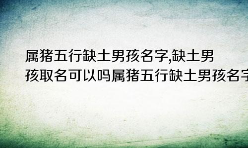 属猪五行缺土男孩名字,缺土男孩取名可以吗属猪五行缺土男孩名字,缺土男孩取名好吗