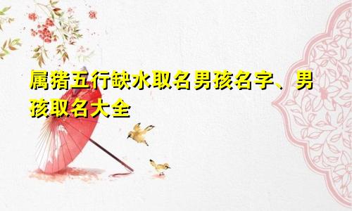 属猪五行缺水取名男孩名字、男孩取名大全