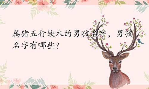 属猪五行缺木的男孩名字，男孩名字有哪些？