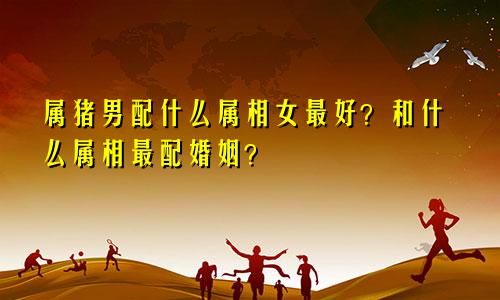属猪男配什么属相女最好？和什么属相最配婚姻？